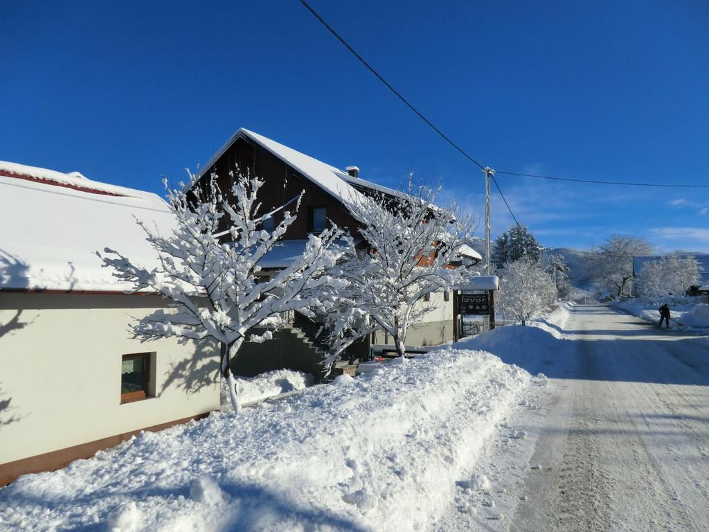 ホテル Ethno House Izvor Vrelo Koreničko エクステリア 写真