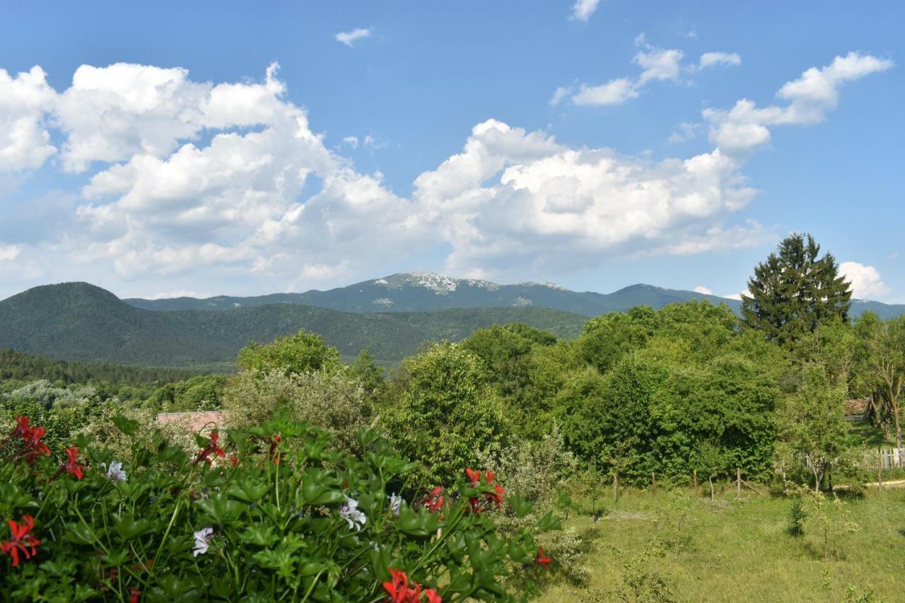 ホテル Ethno House Izvor Vrelo Koreničko エクステリア 写真